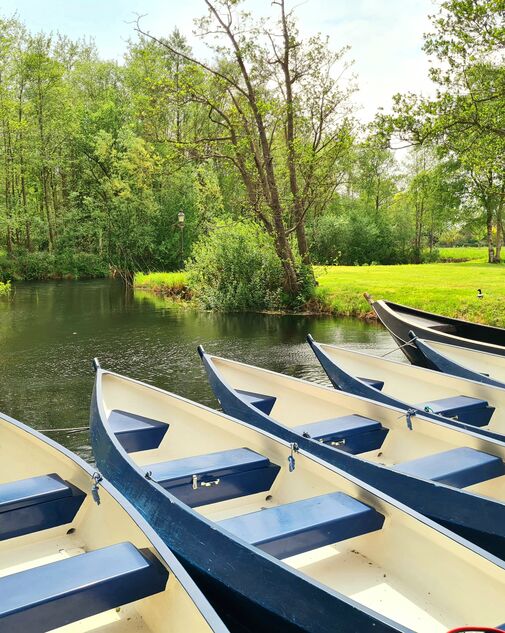 Fluisterboot de Dames